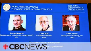 Nobel chemistry prize awarded for discovery of quantum dots