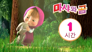 마샤와 곰 👱‍♀️🐻 새로운 우정 🤗 번들 6 ⏱ 1 시간😊 Masha and the Bear