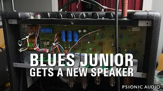Blues Junior Gets a New Speaker