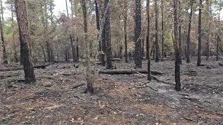 Taking a rest on the trail