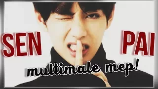 Senpai | Multimale Kpop MEP