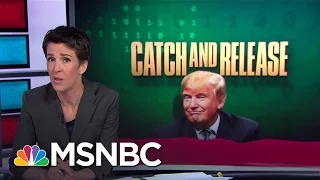 Russian Hackers Add Intrigue To US Election | Rachel Maddow | MSNBC