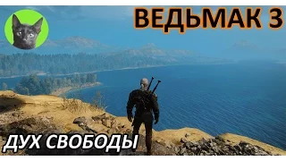 Ведьмак 3 - Скрытый квест - Дух свободы