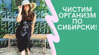 ИСТОКИ ЧИСТОТЫ | ЧИСТИМ ОРГАНИЗМ НА МЕЖКЛЕТОЧНОМ УРОВНЕ - СИБИРСКОЕ ЗДОРОВЬЕ | как применять?