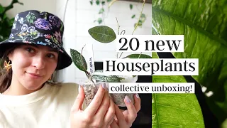 Collective Houseplant Unboxing! | Houseplant & Planter Mail Haul(:
