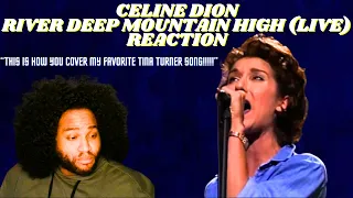 Celine Dion River Deep Mountain High Reaction