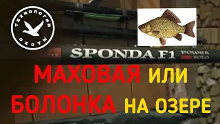 Маховая или болонская удочка на озере?