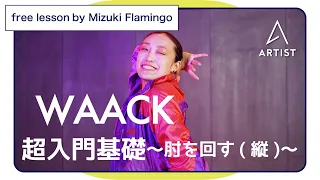 超入門基礎〜肘を回す(縦)〜【WAACK 無料レッスン】by Mizuki Flamingo