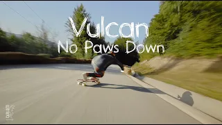 Longboarding No Hands Down at Vulcan 110km/h // Antoine Carlotti