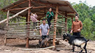Hoeing soil for gardening, building a new Goat Barn | Family Farm