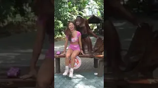 The pervert monkey