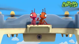 Drone | Funny Cartoons For All The Family! | Funny Videos for kids | ANTIKS