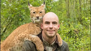 Releasing Lynx into the Forest