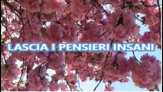 LASCIA I PENSIERI INSANI !