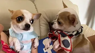 Brother & Sister meet for the 1st Time