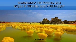 Михаил Никитин: Возможна ли жизнь на другой химической основе?