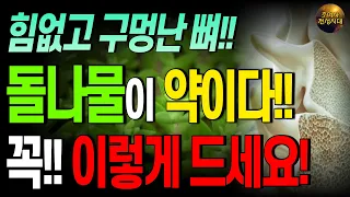 노년에 돌나물 꼭 드세요!! 힘없는 다리, 구멍 뚫린 뼈에 약이 됩니다!! 돌나물 제대로 먹는 방법!!