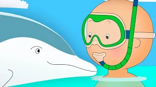 Nager avec les Dauphins | Caillou en Français