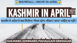 Kashmir in April | snowfall / snow in april 2023 | Gulmarg kashmir