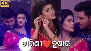 Tarini Akhira Tara Odia Serial Song 4k Full Screen Status💕Tarini💕Tushar💕Tarang💕Odia Edits