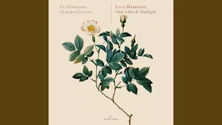 Madrigali á 5 voci, Libro 9 (Excerpts) : No. 20, Crudele, acerba