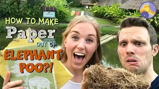 How to make Paper out of Elephant Poo?! | Maddie Moate