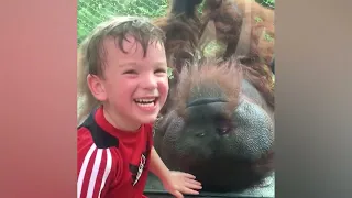 Дети и животные - смешные моменты | Попробуй не засмеяться