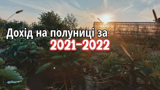 Фінансові витрати на полуницю 2021-2022/Скільки ми заробили на полуниці за два сезони?