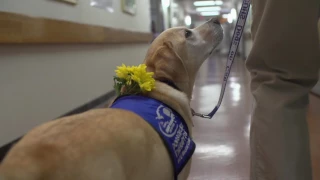 STAR Service @ VCU Health - Pass it on.