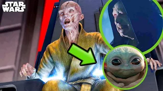 Star Wars FINALLY Explains Why the Empire Needed Grogu  (SNOKE) - The Mandalorian Season 3