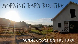 MORNING BARN ROUTINE | Summer 2022 • Feeding the Horses + Barn Chores on the Farm // EQUESTRIAN VLOG