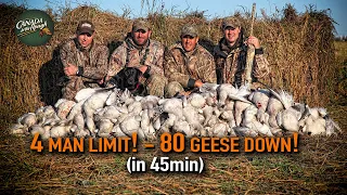 Unbelievable Snow Goose Hunt in Quebec | Canada in the Rough