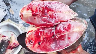 Big Mirror Carp Fish Cutting Live In Dhaka Fish Market | Amazing Fish Cutting Skills