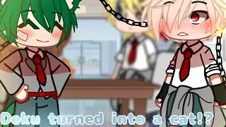 Deku Turn's into a Cat!? 😨 // Bakudeku // Cat/neko deku AU