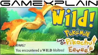 How to Catch Wild LEGENDARY Pokémon in Let's Go Pikachu & Eevee (Articuno, Zapdos, & Moltres Guide)