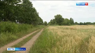 Смотрите в 21:05. «Гектарную амнистию» введут в Хабаровском крае