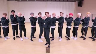 SEVENTEEN (세븐틴) - 박수 (CLAP) Dance Practice (Mirrored)