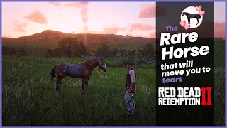 Rare Horse will Move You to Tears in Red Dead Redemption 2 | RDR2