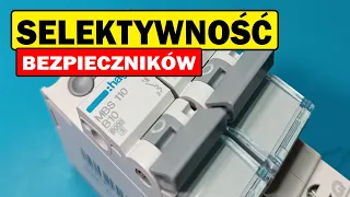 Jak zachować selektywność?  Dla początkujących i nie tylko! Prosty i łatwy przewodnik.