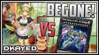 Defeat UNSTOPPABLE Zeus! EASY Negates with Dragonmaids! [Yu-Gi-Oh! Master Duel]