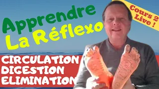 REFLEXOLOGIE PLANTAIRE (Cours Gratuit 2020) : "Circulation, Digestion, Elimination" (Cours 2)