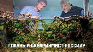 Идеальные аквариумы Александра Малетина. Акваскейпы, растения и креветки из Сибири. Вдохновляйтесь!