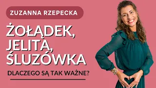 Żoładek Jelita Śluzówka - dlaczego są aż tak ważne