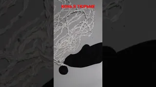 Что такое конь в тюрьме