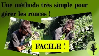 Gérer facilement les ronces, et obtenir de grosses productions.  Jardin-forêt en permaculture.