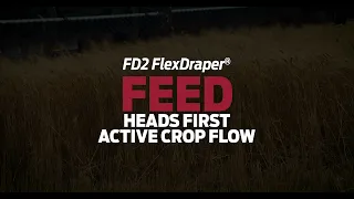 MacDon FD2 FlexDraper® | FEED | Heads First Feeding