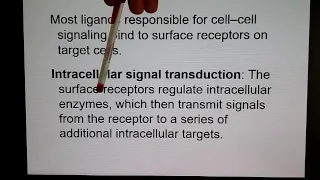 Menardcellbio ch16 part 1