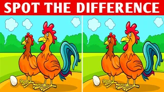 Spot The Difference | Can You Find Them All? | Find The Difference | Brainzzle
