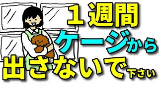 【犬 ケージ】迎えたばかりの子犬は１週間ケージから出さないで下さい（って言われました）【犬のしつけ＠横浜】by遠藤エマ先生