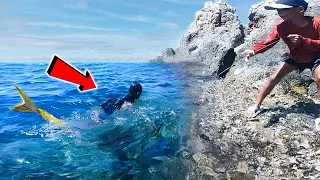 He Found A Real Mermaid On Beach, The Ending Will Shock You